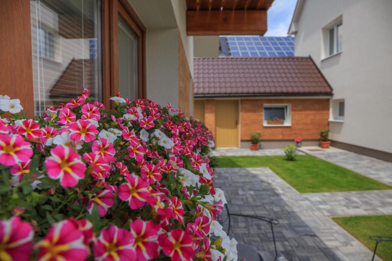Villa Alexandra Bešeňová Zewnętrze zdjęcie
